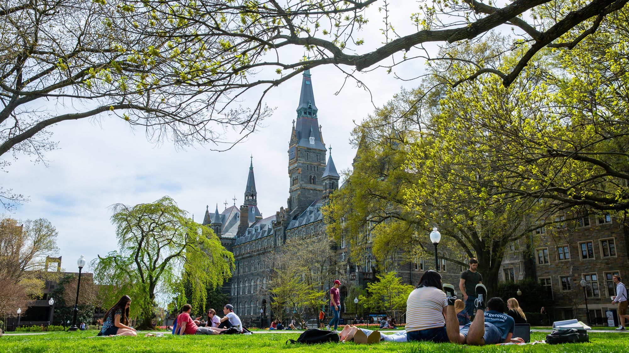 Georgetown University CDS, Admissions Data, Rankings, Majors